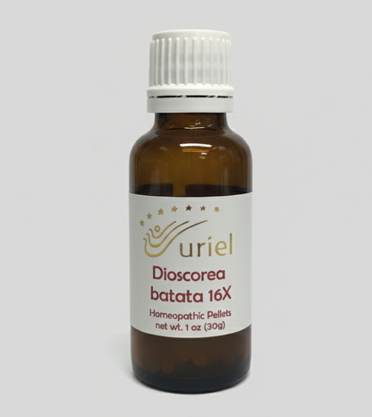 Light Root - Dioscorea batata 16x Homeopathic pellets or ointment