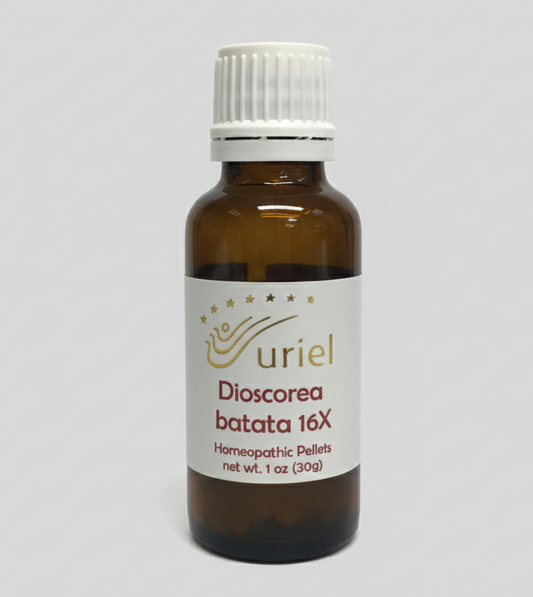 Light Root - Dioscorea batata 16x Homeopathic pellets or ointment