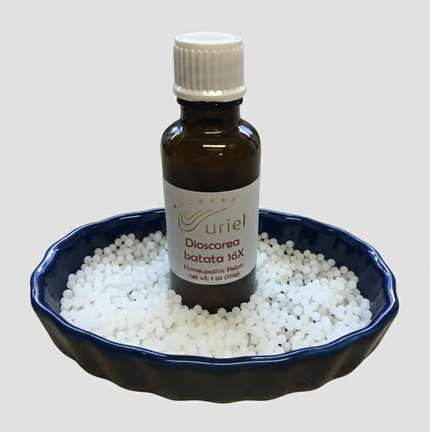 Light Root - Dioscorea batata 16x Homeopathic pellets or ointment