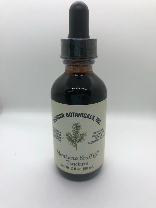 Pacific Yew Tip Tincture 2 oz